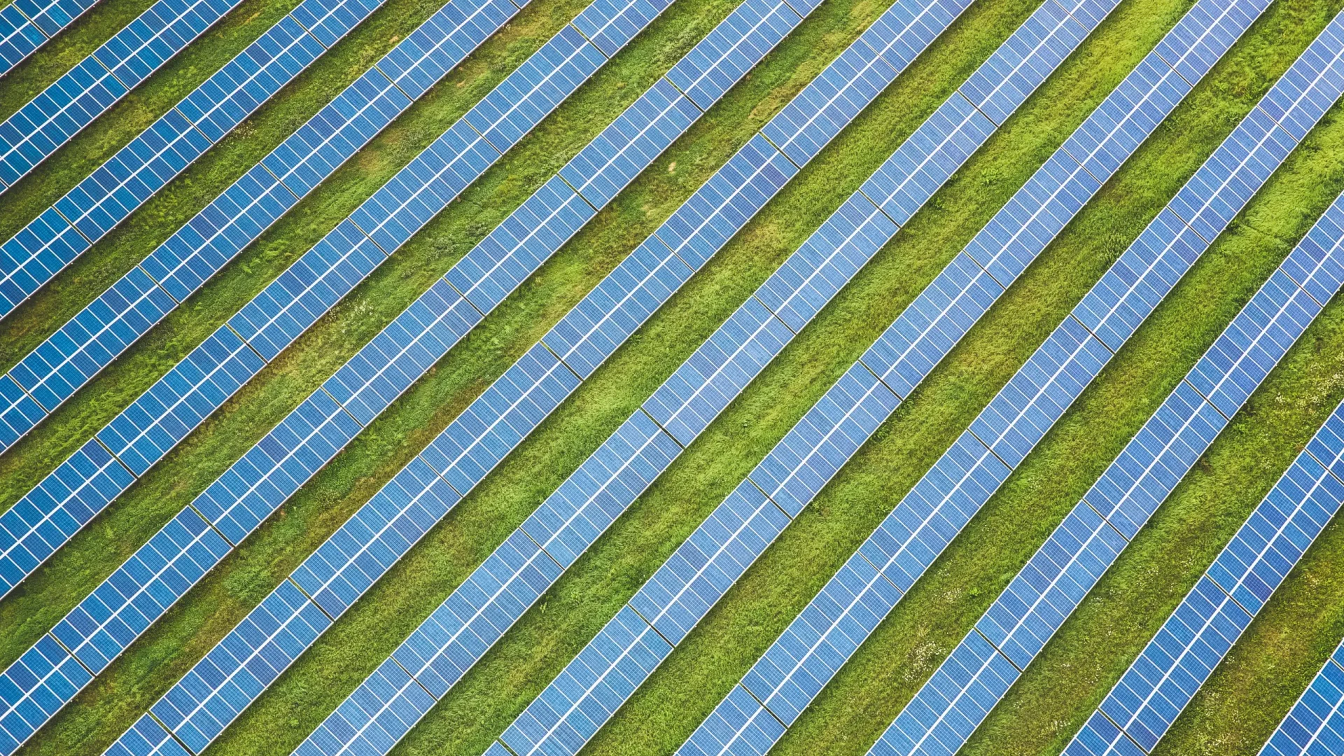 Ariel shot of a solar farm